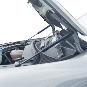 BYD ATTO 3 Bonnet Gas Struts